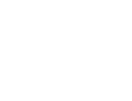 Logo Alma Verde