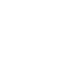 Logo Big Salads