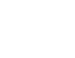 logo carnes rizzo
